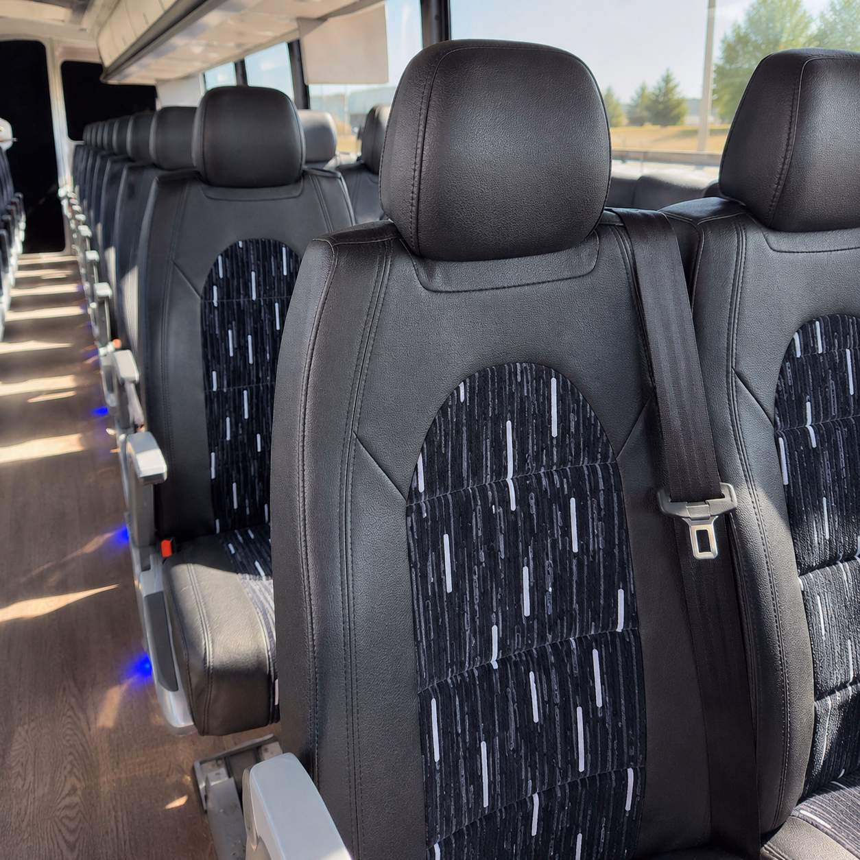 skip the i 8 parking nightmare and ride to san diego concerts together