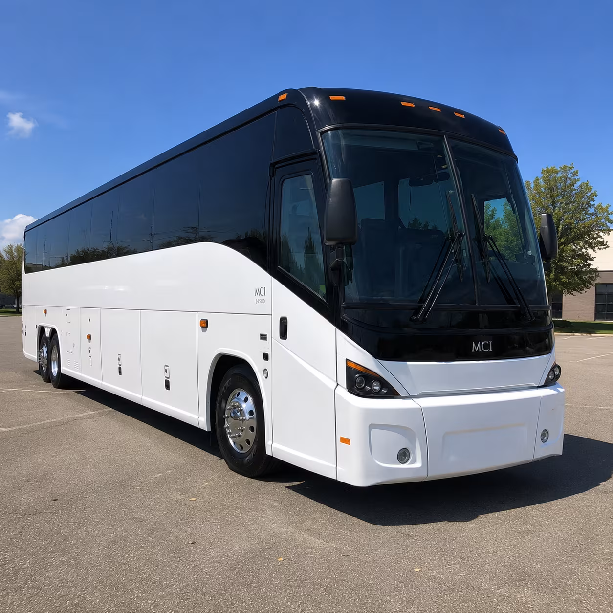 vista charter bus