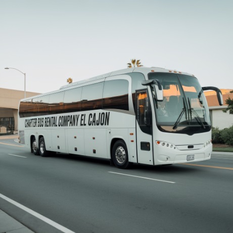 56 passenger motorcoach