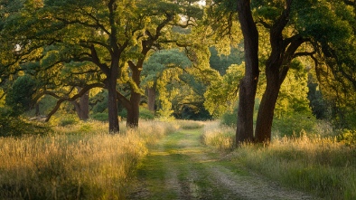 elfin forest recreational reserve